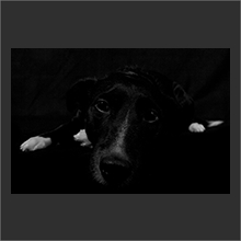 in the dark